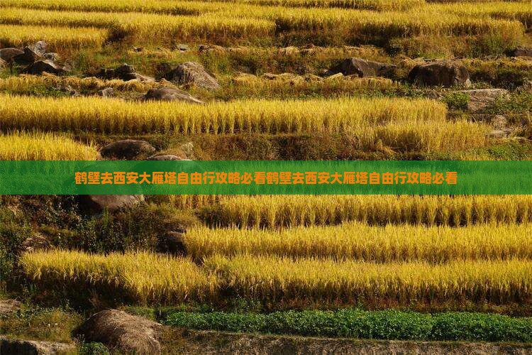 鹤壁去西安大雁塔自由行