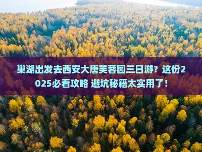 巢湖去西安大唐芙蓉园三日游
