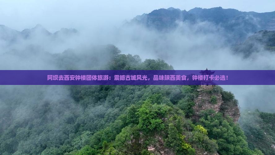 阿坝去西安钟楼团体旅游