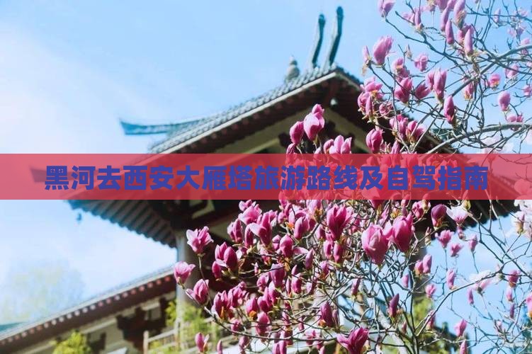 黑河去西安大雁塔旅游