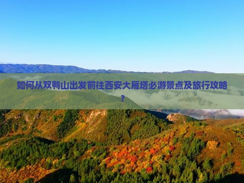 如何从双鸭山出发前往西安大雁塔必游景点及旅行攻略？