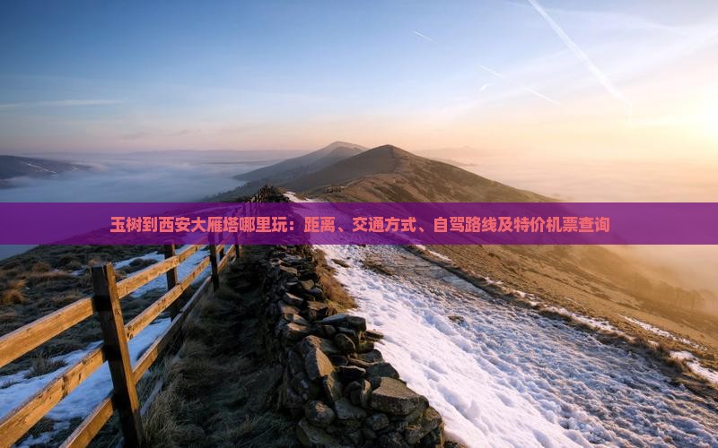 玉树到西安大雁塔哪里玩：距离、交通方式、自驾路线及特价机票查询