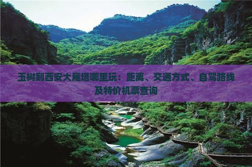 玉树到西安大雁塔哪里玩：距离、交通方式、自驾路线及特价机票查询