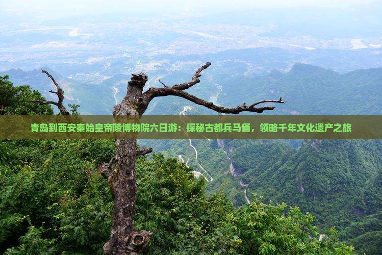 青岛到西安秦始皇帝陵博物院六日游：探秘古都兵马俑，领略千年文化遗产之旅