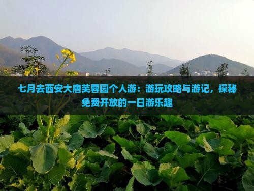 七月去西安大唐芙蓉园个人游：游玩攻略与游记，探秘免费开放的一日游乐趣
