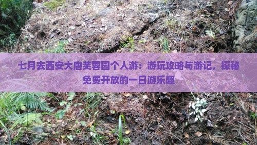 七月去西安大唐芙蓉园个人游：游玩攻略与游记，探秘免费开放的一日游乐趣