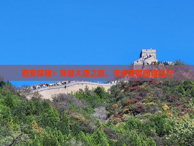 西安探秘：穿越大唐之旅，漫步芙蓉园自由行