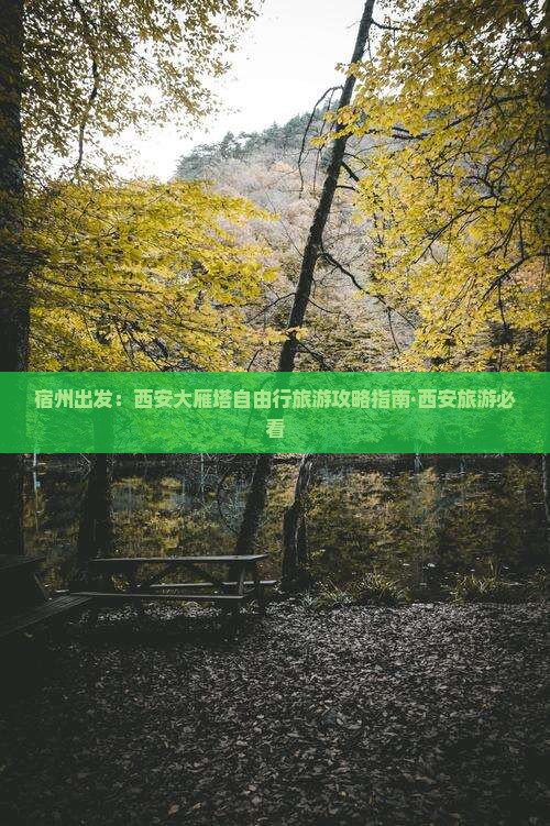 宿州出发：西安大雁塔自由行旅游攻略指南·西安旅游必看