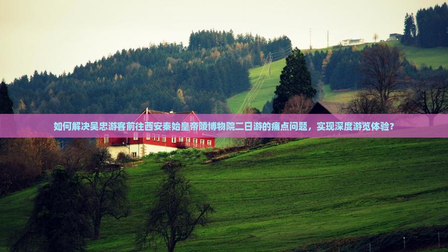 如何解决吴忠游客前往西安秦始皇帝陵博物院二日游的痛点问题，实现深度游览体验？
