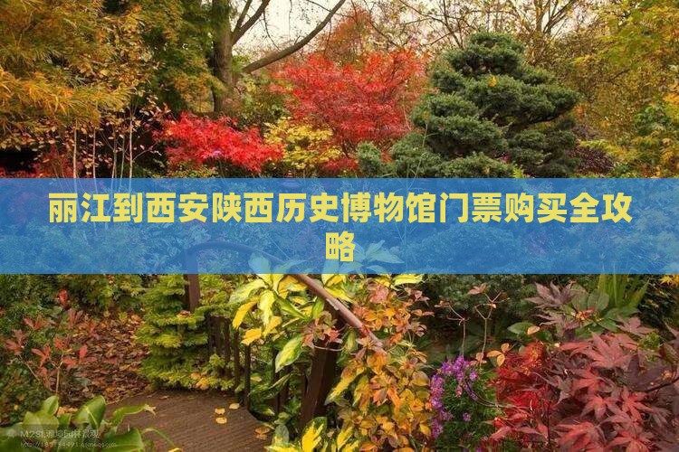 丽江到西安陕西历史博物馆门票购买全攻略