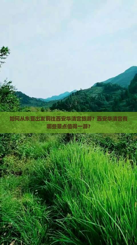 如何从东营出发前往西安华清宫旅游？西安华清宫有哪些景点值得一游？