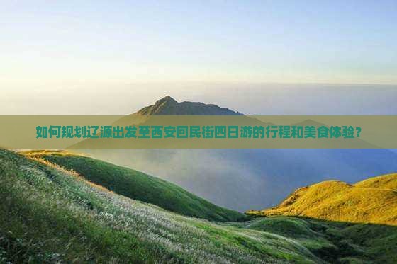 如何规划辽源出发至西安回民街四日游的行程和美食体验？