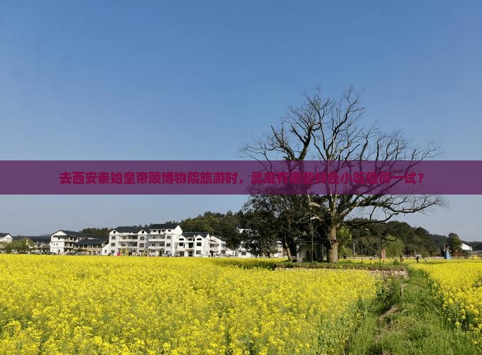 去西安秦始皇帝陵博物院旅游时，武威有哪些特色小吃值得一试？