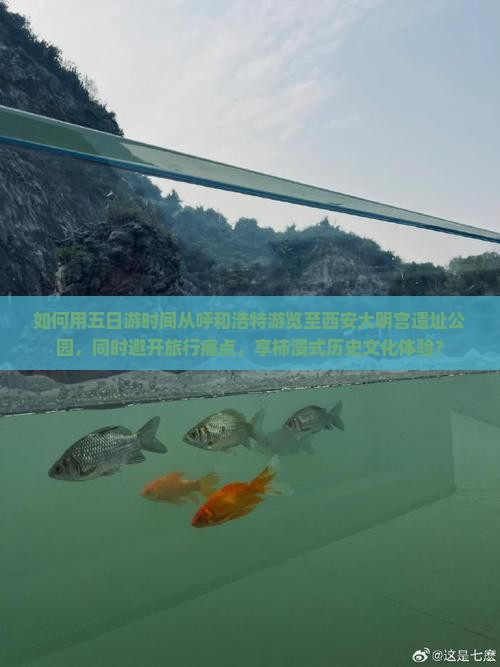 如何用五日游时间从呼和浩特游览至西安大明宫遗址公园，同时避开旅行痛点，享柿浸式历史文化体验？