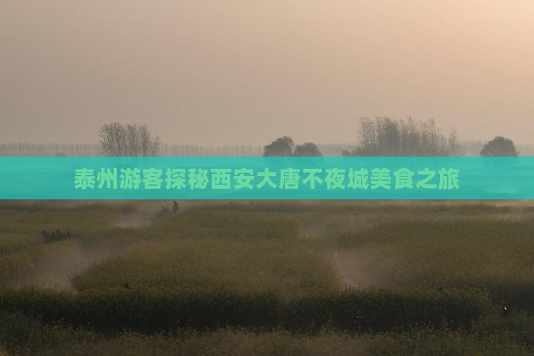 泰州游客探秘西安大唐不夜城美食之旅