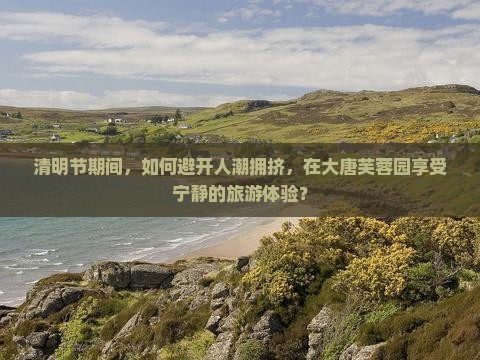 清明节期间，如何避开人潮拥挤，在大唐芙蓉园享受宁静的旅游体验？