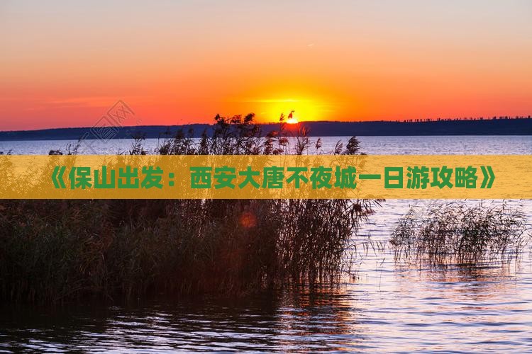 《保山出发：西安大唐不夜城一日游攻略》