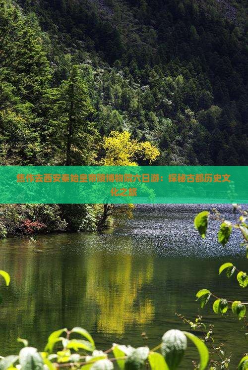焦作去西安秦始皇帝陵博物院六日游：探秘古都历史文化之旅