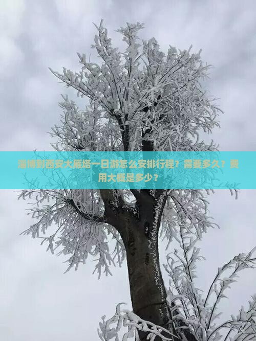 淄博到西安大雁塔一日游怎么安排行程？需要多久？费用大概是多少？