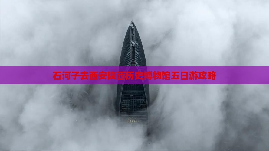 石河子去西安陕西历史博物馆五日游攻略