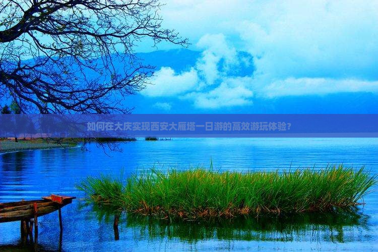 如何在大庆实现西安大雁塔一日游的高效游玩体验？