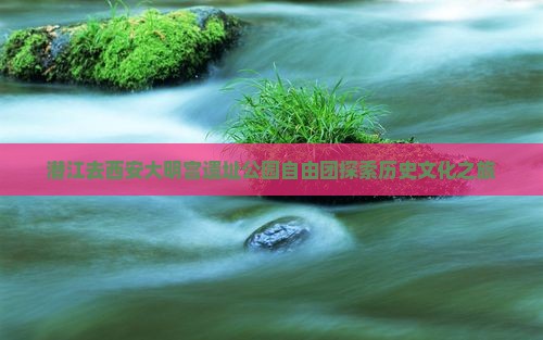 潜江去西安大明宫遗址公园自由团探索历史文化之旅
