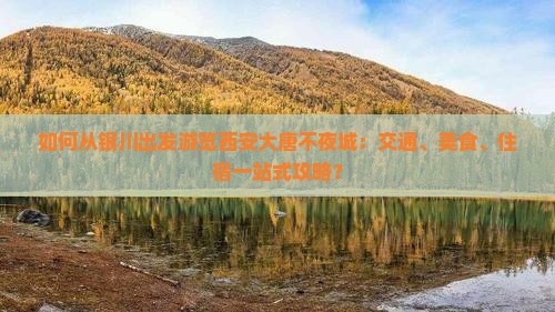 如何从银川出发游览西安大唐不夜城：交通、美食、住宿一站式攻略？