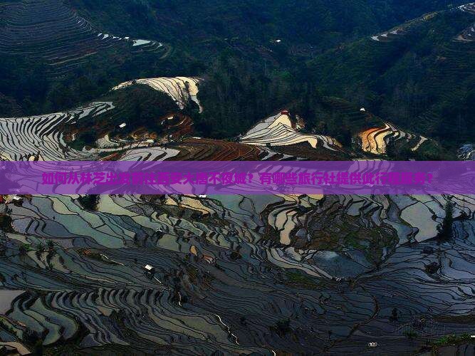 如何从林芝出发前往西安大唐不夜城？有哪些旅行社提供此行程服务？