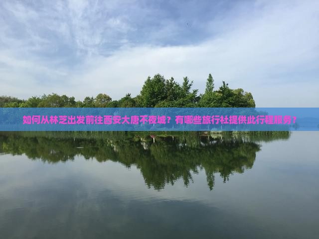 如何从林芝出发前往西安大唐不夜城？有哪些旅行社提供此行程服务？