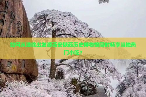 如何从清徐出发游西安陕西历史博物馆同时畅享当地热门小吃？