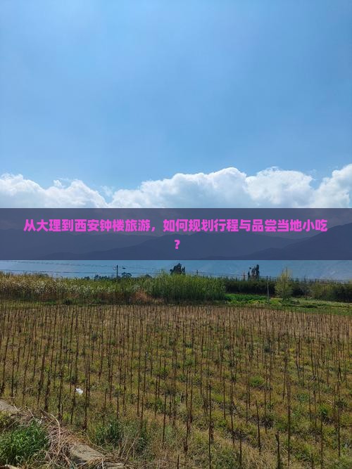 从大理到西安钟楼旅游，如何规划行程与品尝当地小吃？