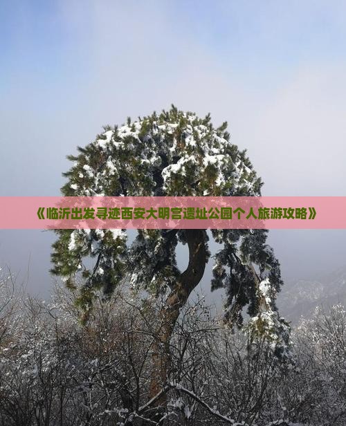 《临沂出发寻迹西安大明宫遗址公园个人旅游攻略》