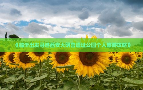 《临沂出发寻迹西安大明宫遗址公园个人旅游攻略》