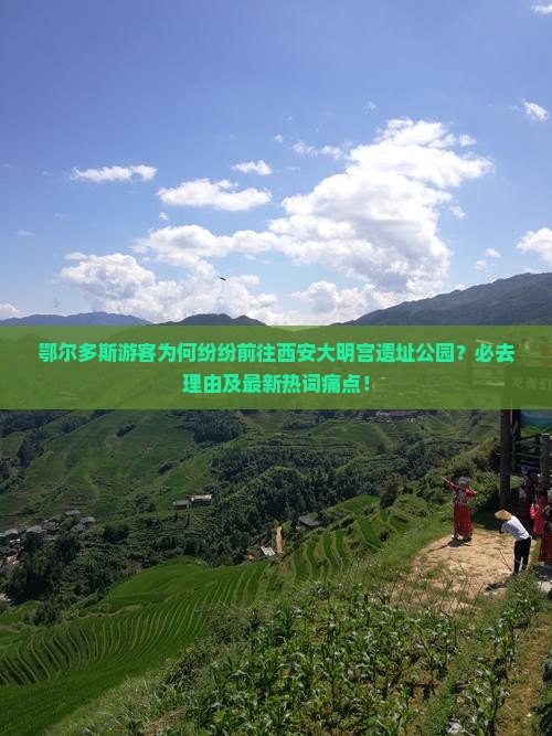 鄂尔多斯游客为何纷纷前往西安大明宫遗址公园？必去理由及最新热词痛点！