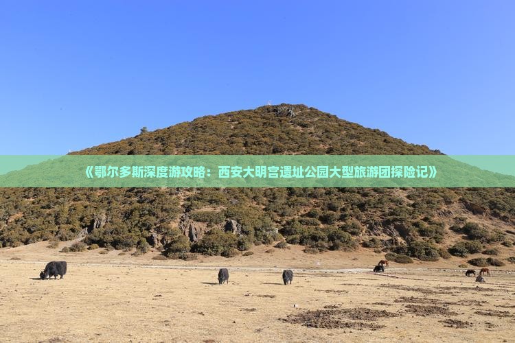 《鄂尔多斯深度游攻略：西安大明宫遗址公园大型旅游团探险记》