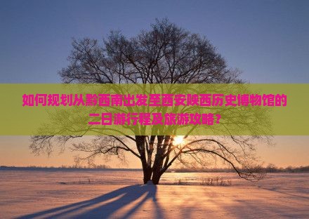 如何规划从黔西南出发至西安陕西历史博物馆的二日游行程及旅游攻略？