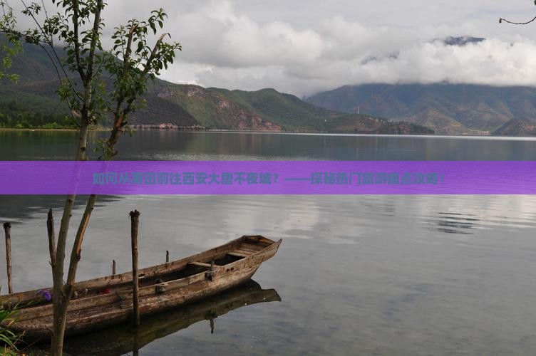 如何从莆田前往西安大唐不夜城？——探秘热门旅游痛点攻略！