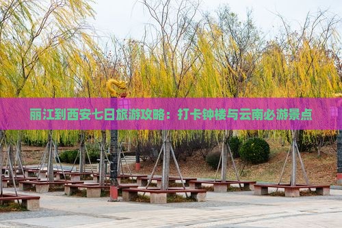 丽江到西安七日旅游攻略：打卡钟楼与云南必游景点