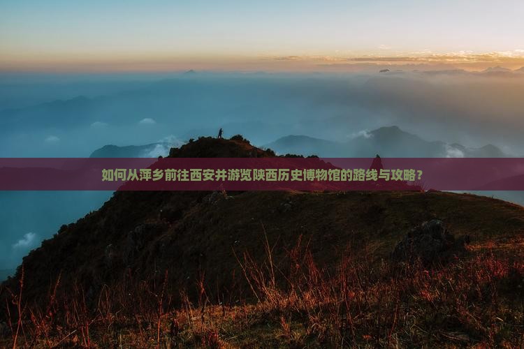 如何从萍乡前往西安并游览陕西历史博物馆的路线与攻略？
