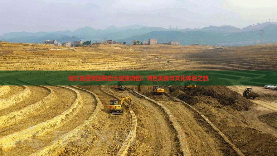 潜江去西安回民街大型旅游团：特色美食与文化体验之旅