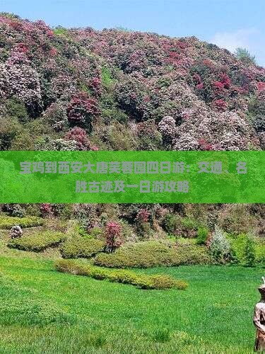 宝鸡到西安大唐芙蓉园四日游：交通、名胜古迹及一日游攻略