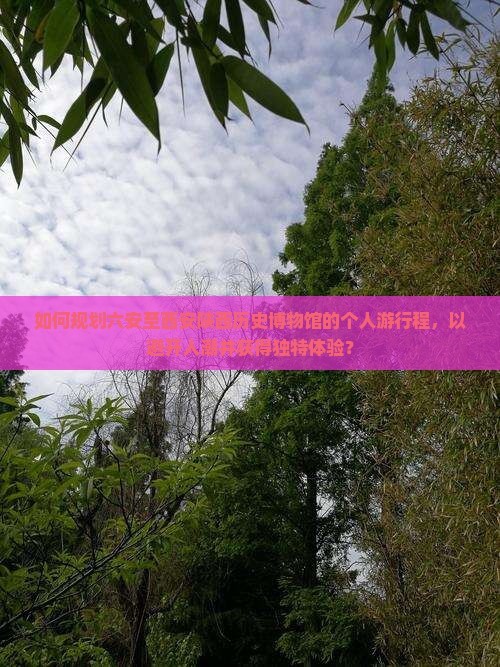 如何规划六安至西安陕西历史博物馆的个人游行程，以避开人潮并获得独特体验？