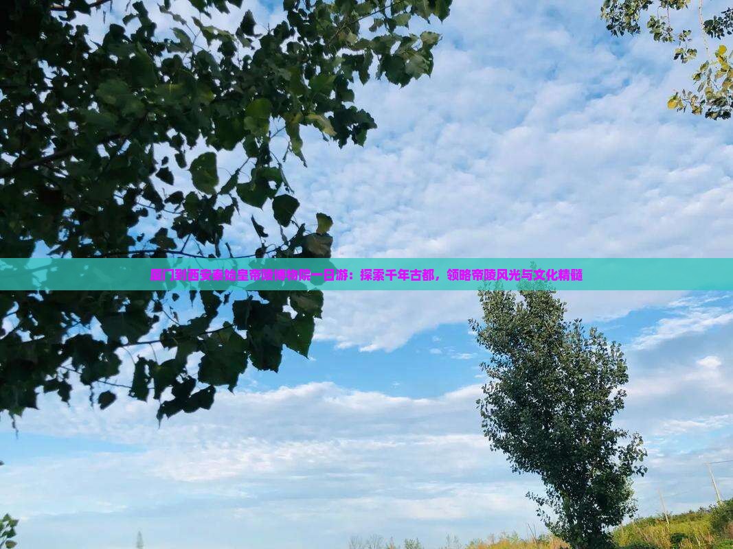 厦门到西安秦始皇帝陵博物院一日游：探索千年古都，领略帝陵风光与文化精髓