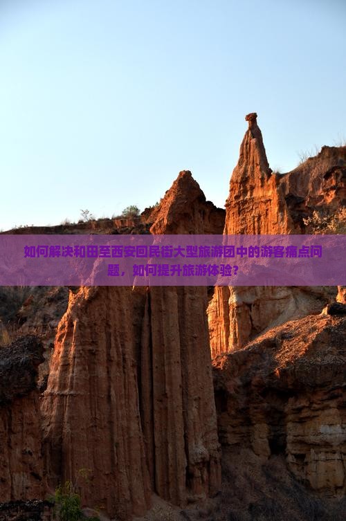 如何解决和田至西安回民街大型旅游团中的游客痛点问题，如何提升旅游体验？