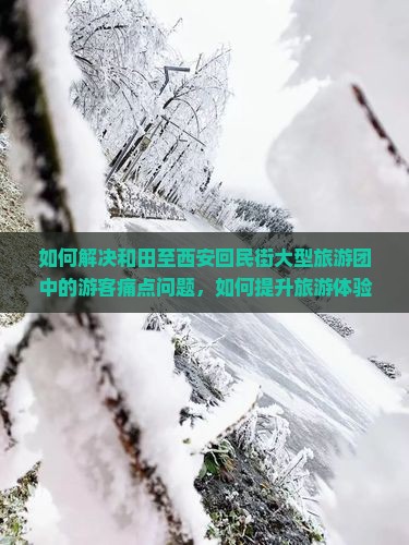 如何解决和田至西安回民街大型旅游团中的游客痛点问题，如何提升旅游体验？