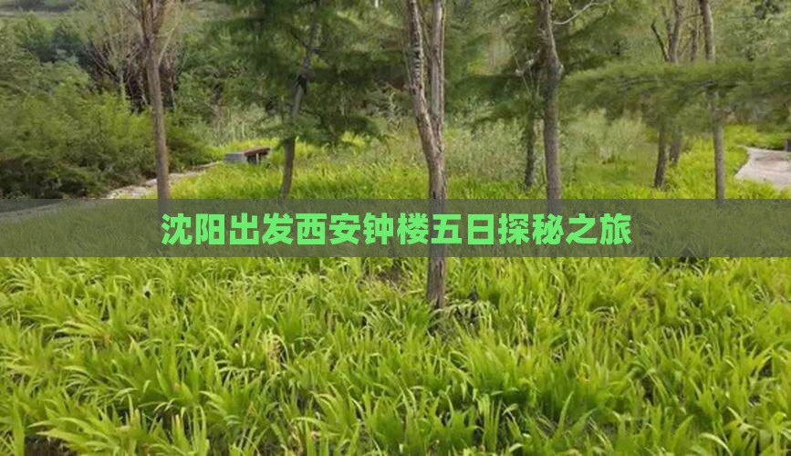 沈阳出发西安钟楼五日探秘之旅