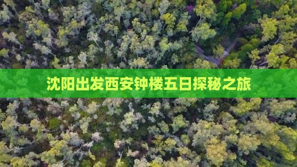 沈阳出发西安钟楼五日探秘之旅