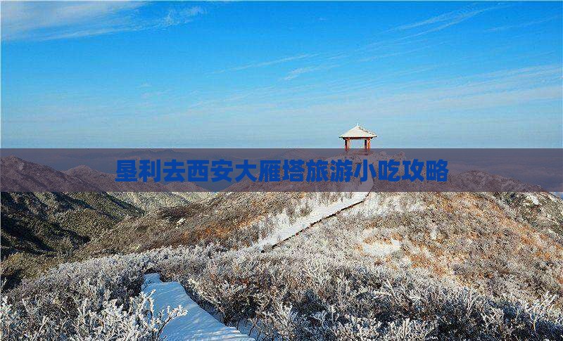 垦利去西安大雁塔旅游小吃攻略