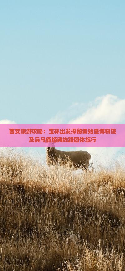 西安旅游攻略：玉林出发探秘秦始皇博物院及兵马俑经典线路团体旅行