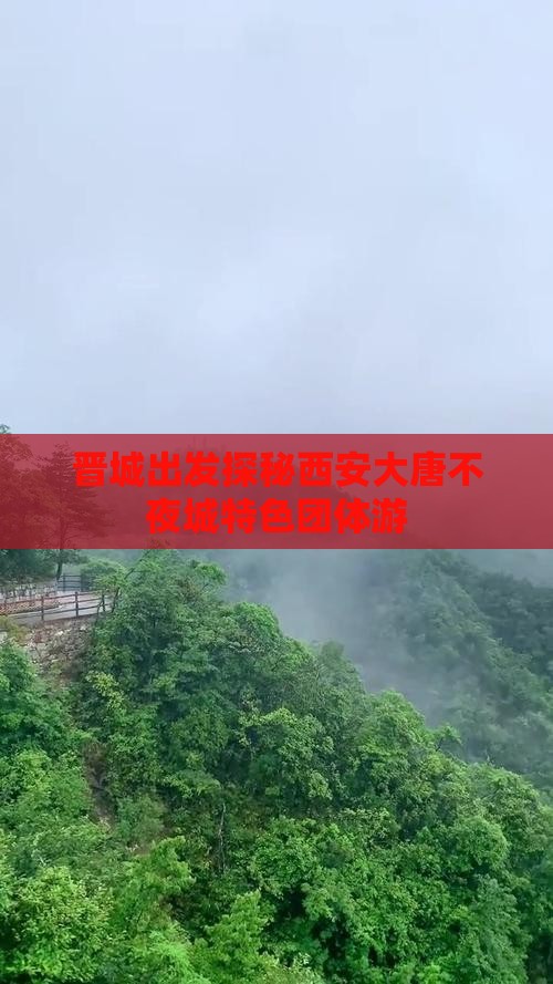 晋城出发探秘西安大唐不夜城特色团体游